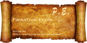 Pantelics Ervin névjegykártya